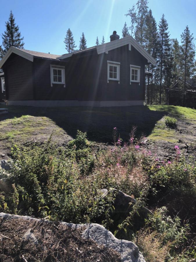 Fresh Familie Hytte Hemsedal Bagian luar foto