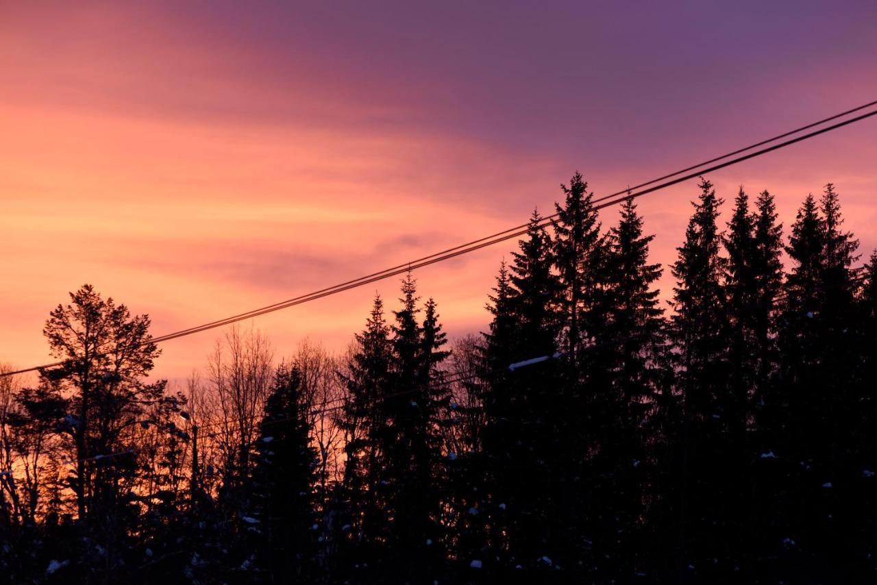 Fresh Familie Hytte Hemsedal Bagian luar foto