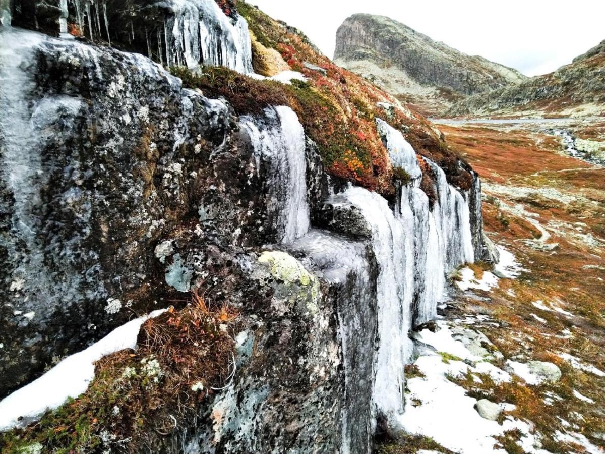 Fresh Familie Hytte Hemsedal Bagian luar foto